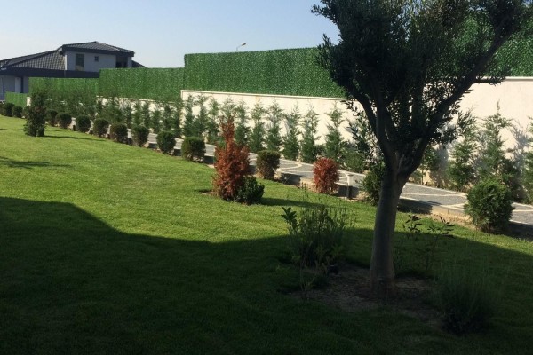 Çim Çit Fiyatları | Üreticiden Güncel Fiyatlar