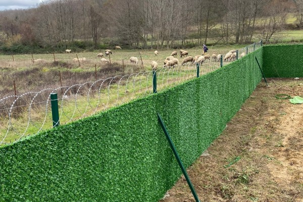 Çim Çit Fiyatları | Üreticiden Güncel Fiyatlar